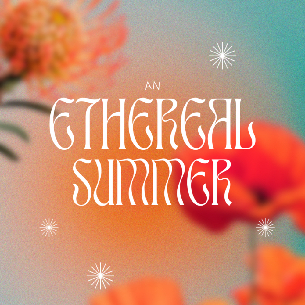 Festival Fairy 🧚🏼🤍💫✨ at Ethereal Aura LLC in Crown Point, IN