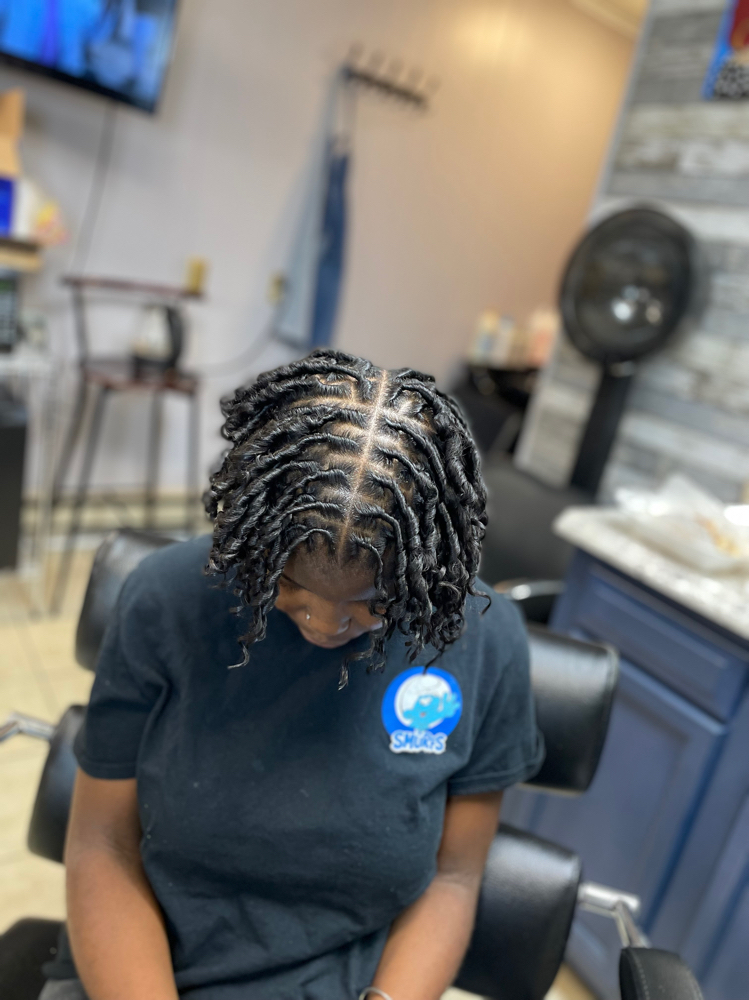 Starter Locs