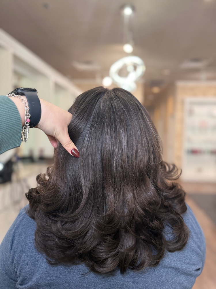 Color Retouch + Haircut + Style