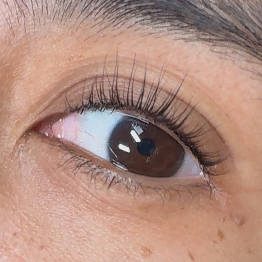 Korean Lash Lift & Tint