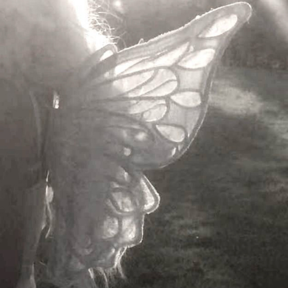 Fairy Wings Back Facial at Skin Fairy Esthetics in Bowling Green, KY