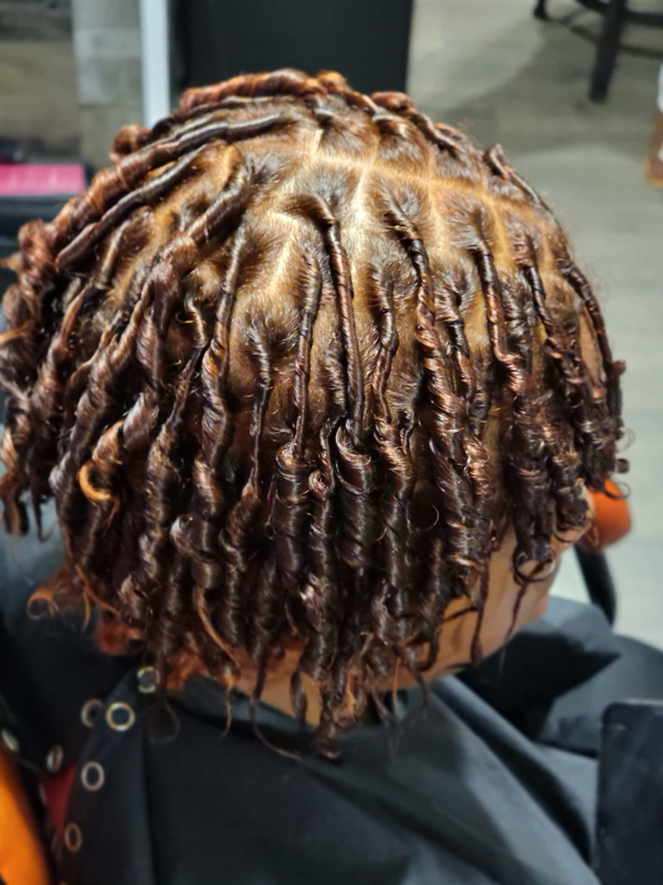 Starter Locs