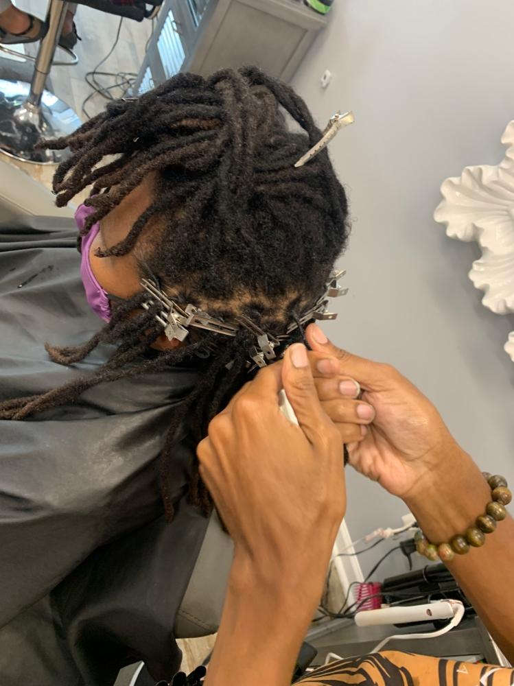 Starter Locs