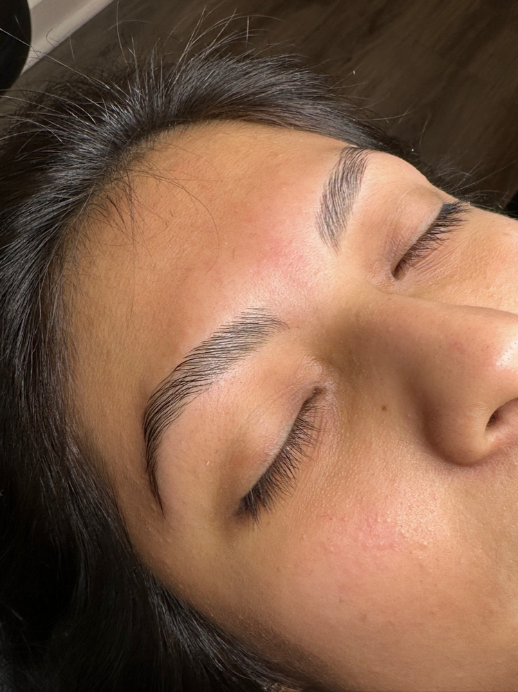 Brow Wax, Tint, & Lamination