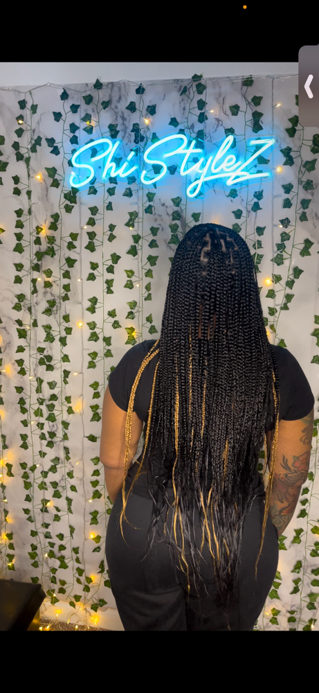 Small Knotless Braids