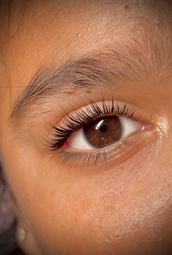 Lash Lift