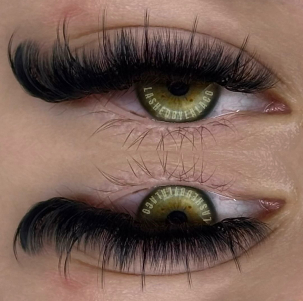 Volume Lashes