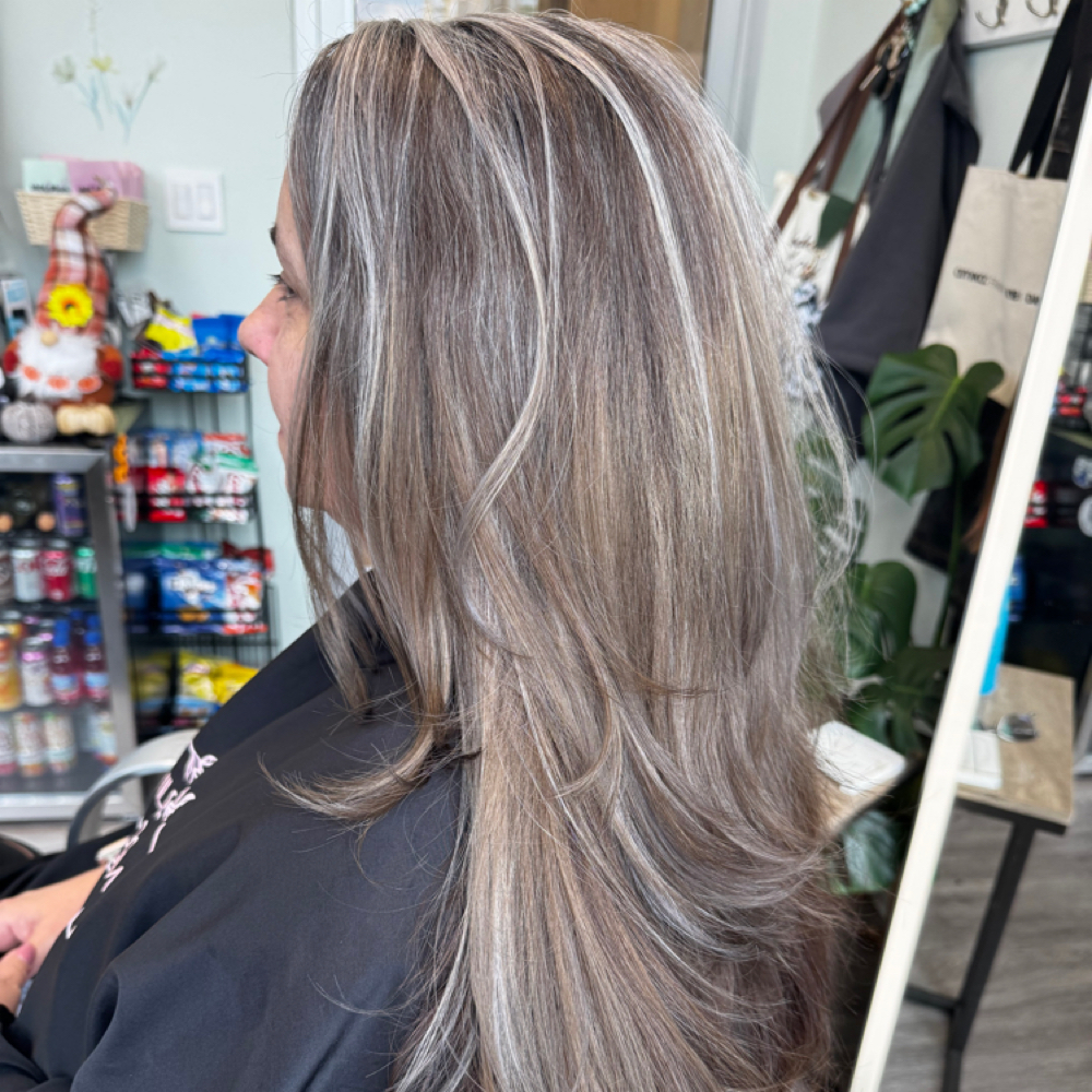 CUSTOM GRAY BLENDING + HAIRCUT at Wild Bloom Hair Studio in Wyomissing, PA