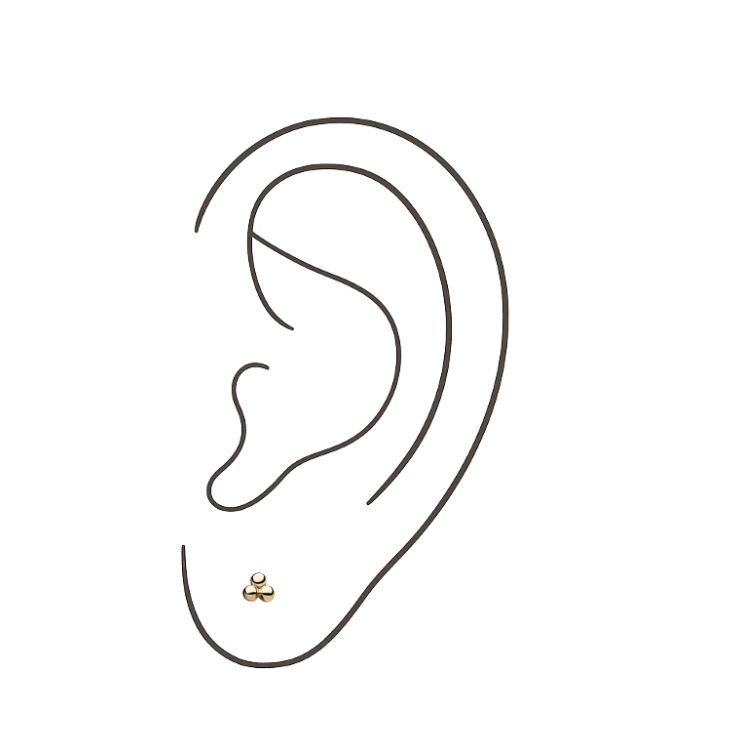 1st Lobes (Jewelry Included)