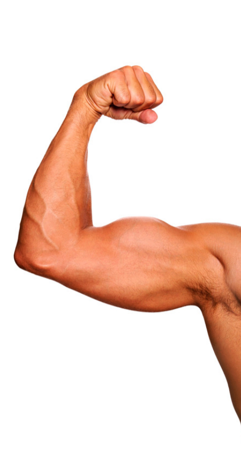 Arms