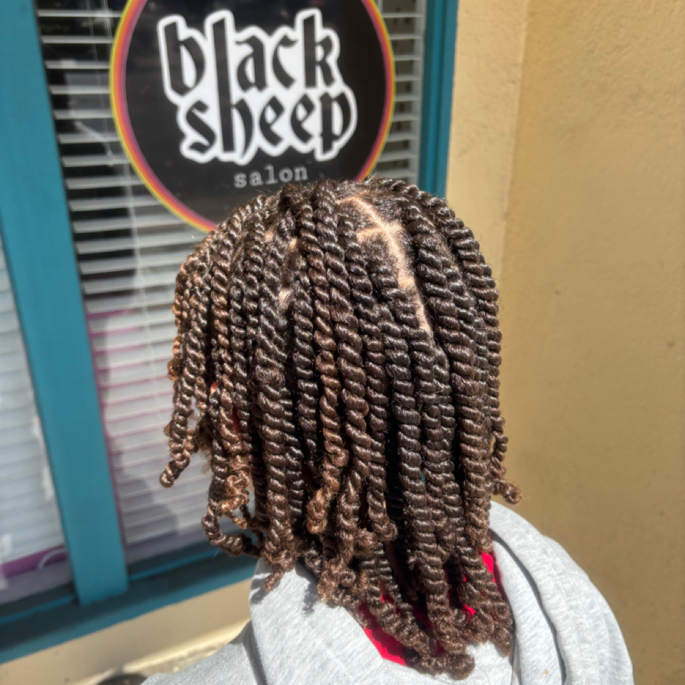 Two Strand Twists (no Added Hair) at Black Sheep Salon in Long Beach, CA