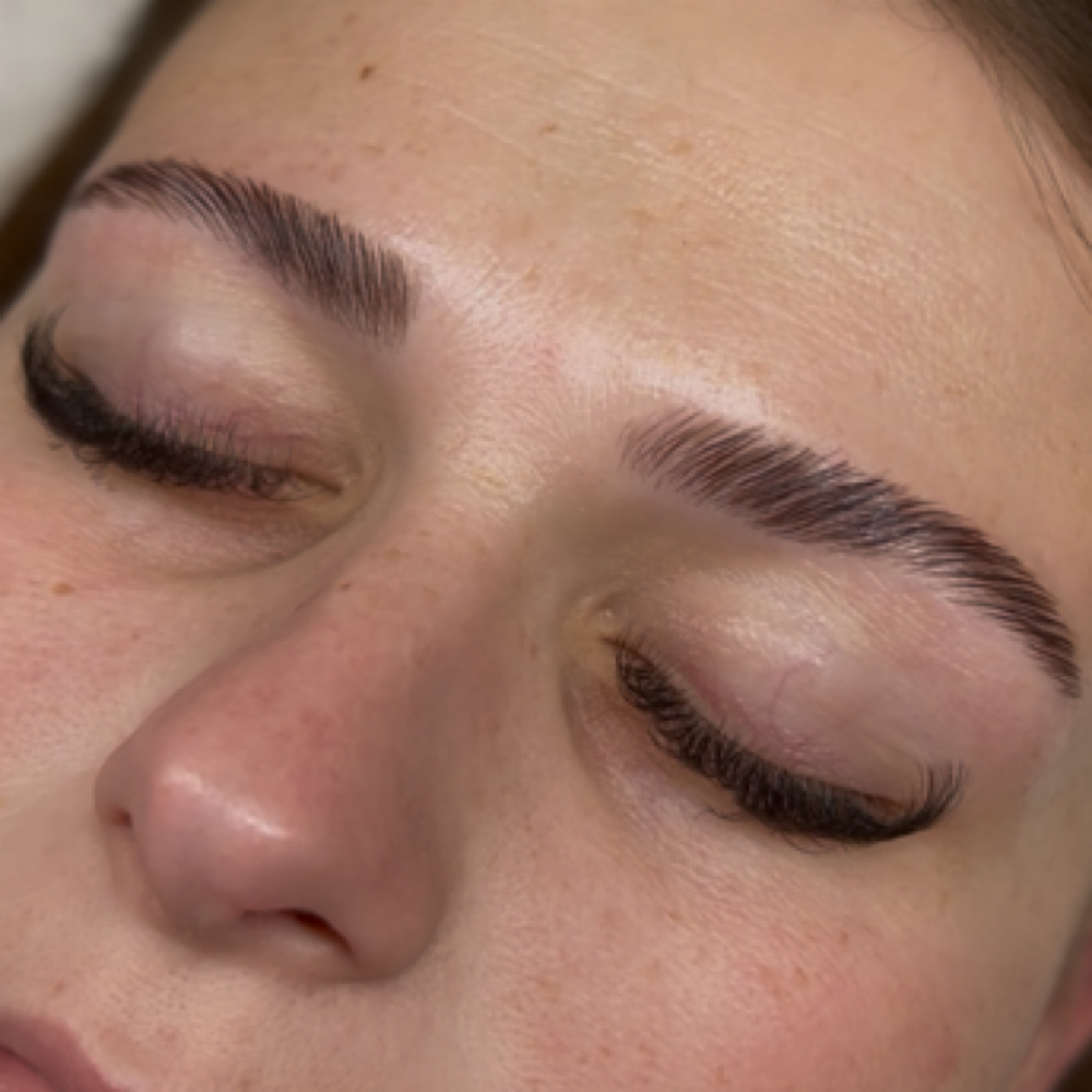 Brow Lamination And Tint at Esthetics by E in Jonesboro, AR