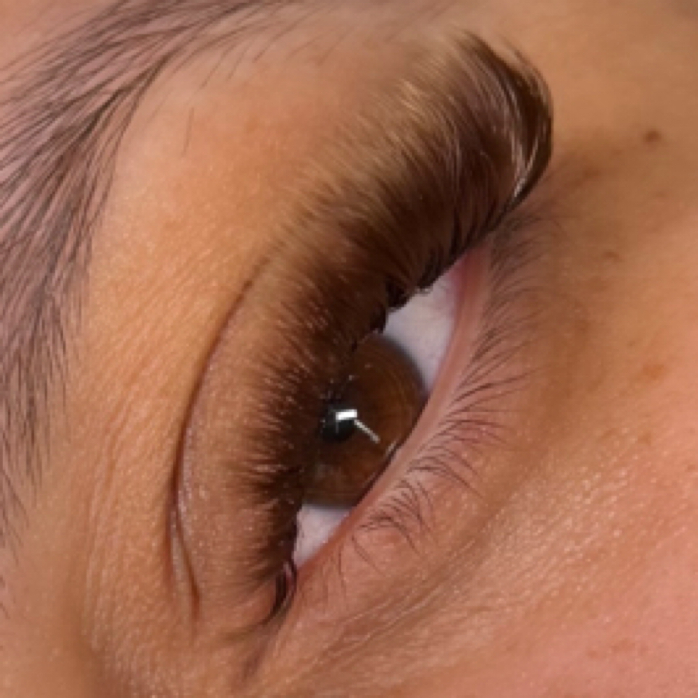 Brown Color Full Set at Lash Bully in Springfield, MA