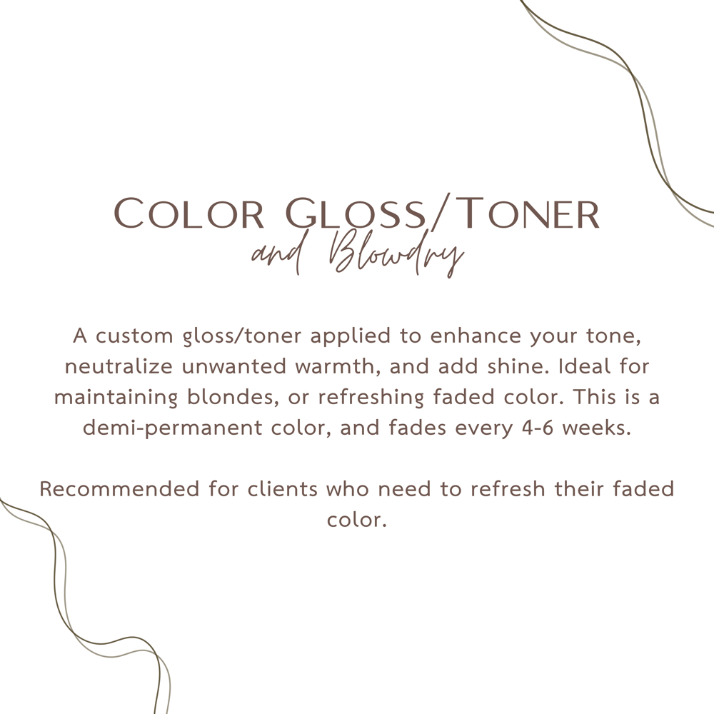 Color Gloss & Blowdry at Bloom by Rossy in South Elgin, IL