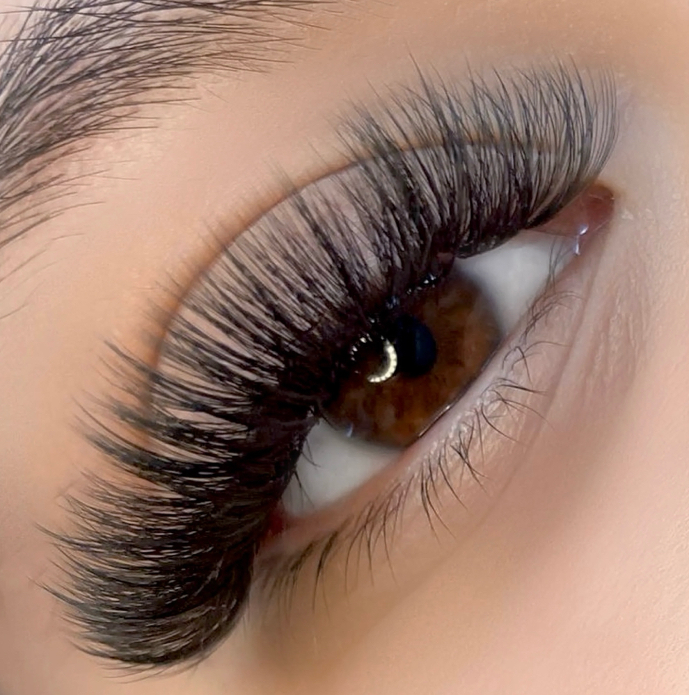 Volume Lashes