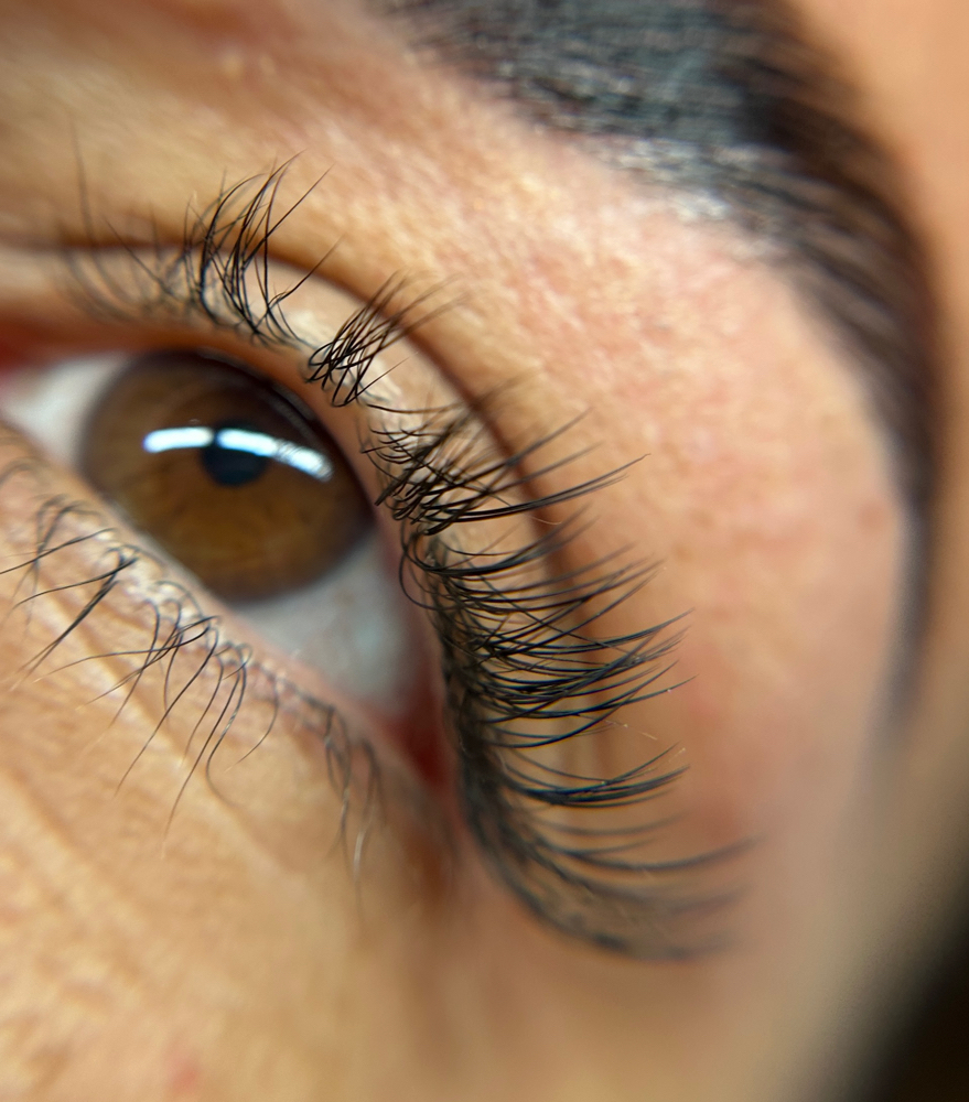 Classic Half Eye Lash Set