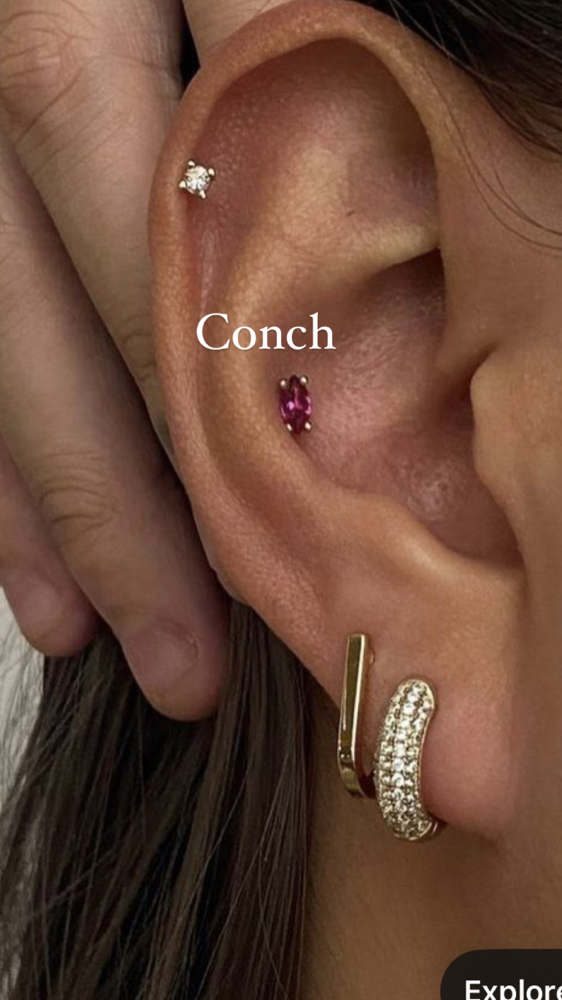Conch Piericng