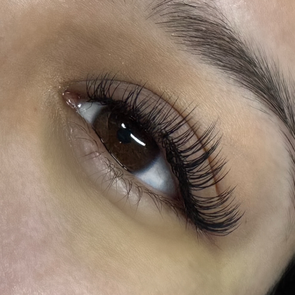 Classic at ButterflyKissesbyh in Clear Lake, TX