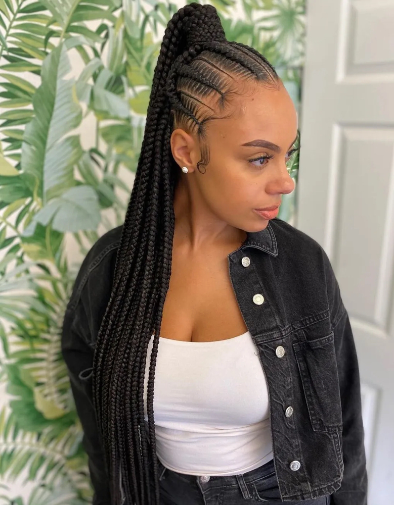 Ponytail braids (8-15)