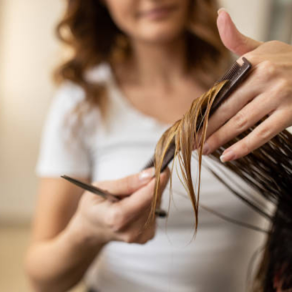 Shampoo / Cut / Style