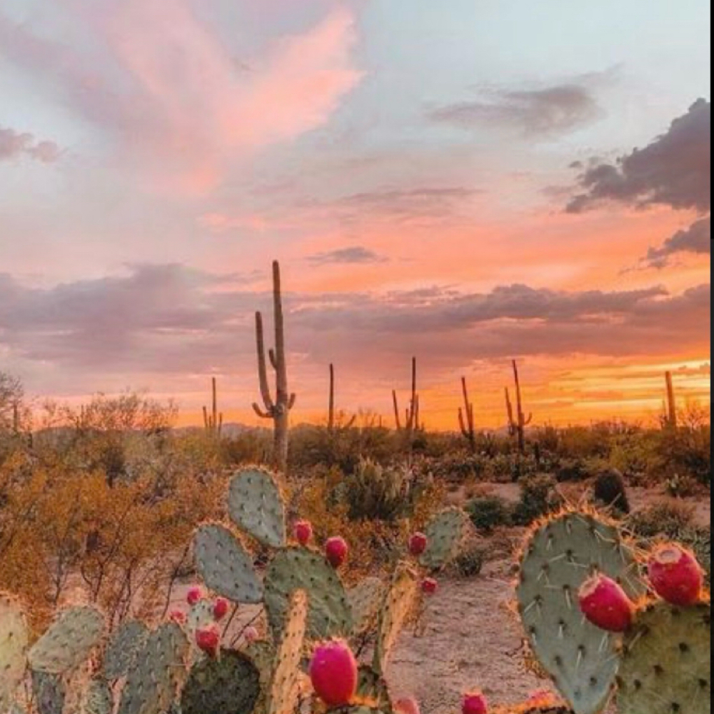 Golden Hour Blonding Package at 3c. Hair. Co. in Kearney Ne, NE