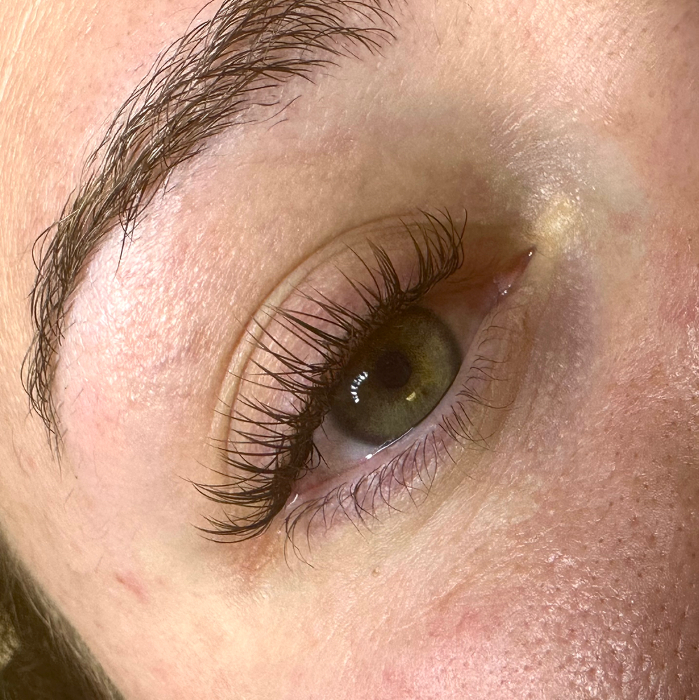 Brown Classic Lashes - Fill