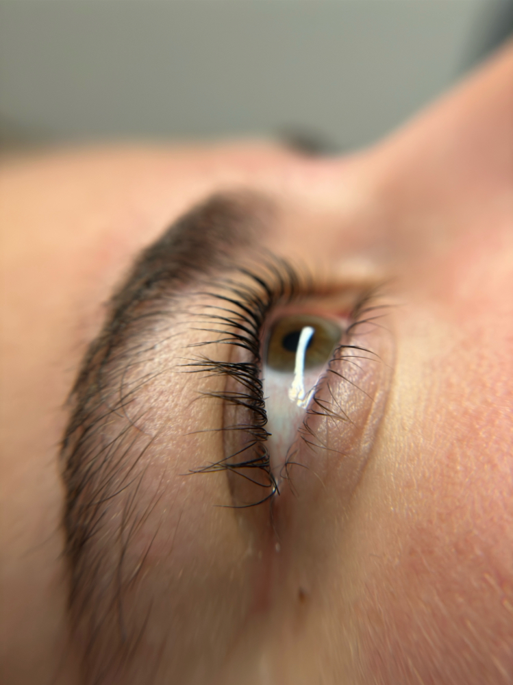 Lash Lift and Tint