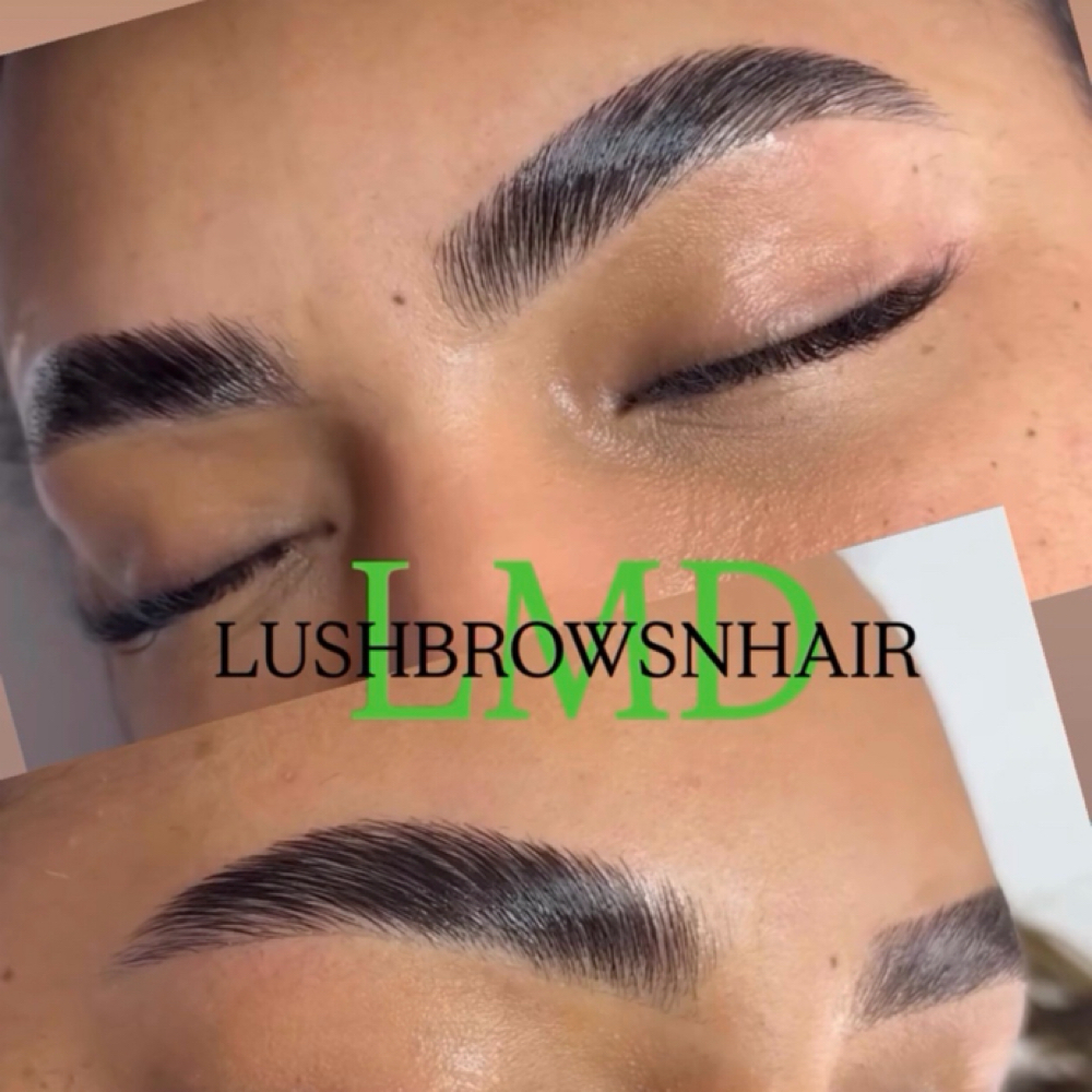 Eyebrow lamination at lushbrowsnhair in Dearborn, MI