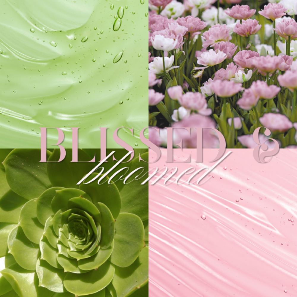 Blissed & Bloomed Facial 🌸 at SKNFORM in Phoenix, AZ