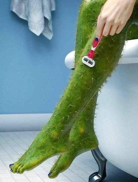 Leg Wax Services