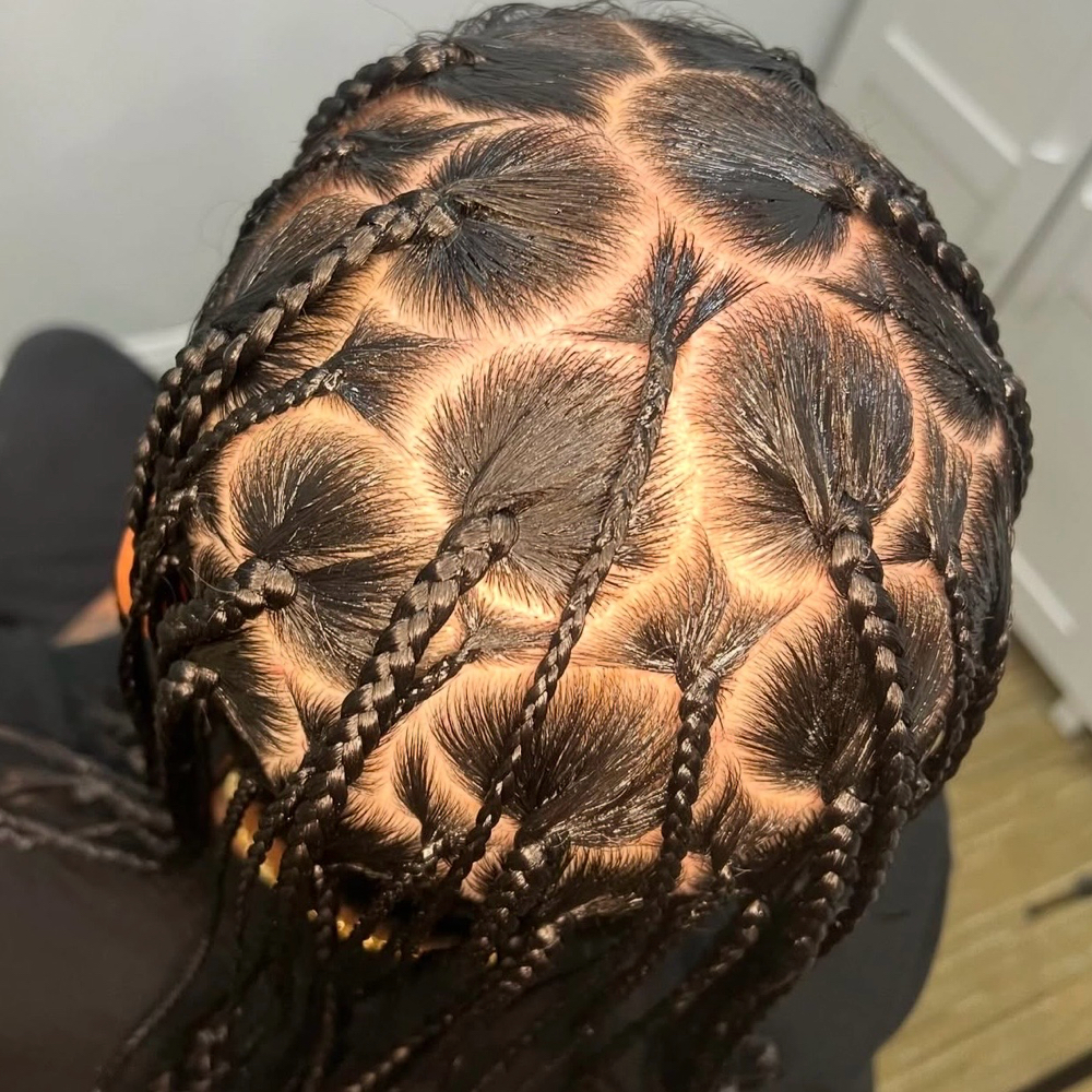 Medium Designer Box Braids