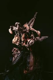 Lowlights / Dimensional Brunette