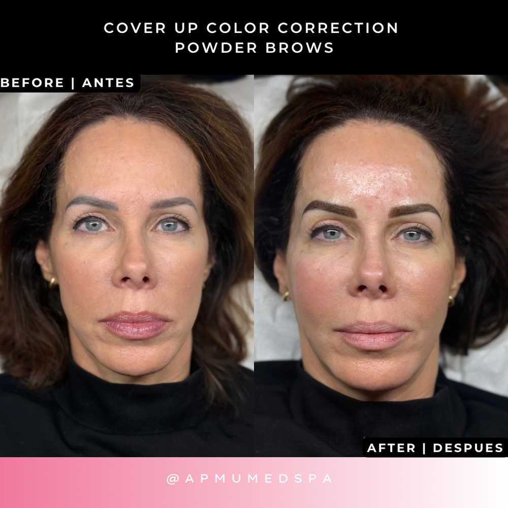 Cover Up Correction Powder Brows