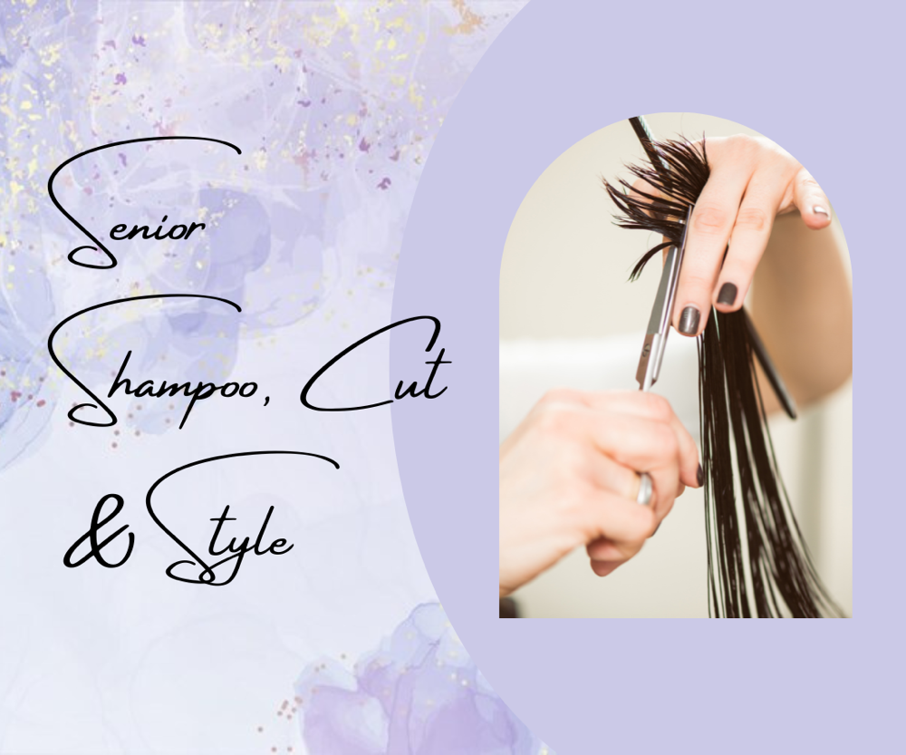 Senior Wash, Cut & Style at Hair by Sarah At Salon Stiles in Coventry Township, OH