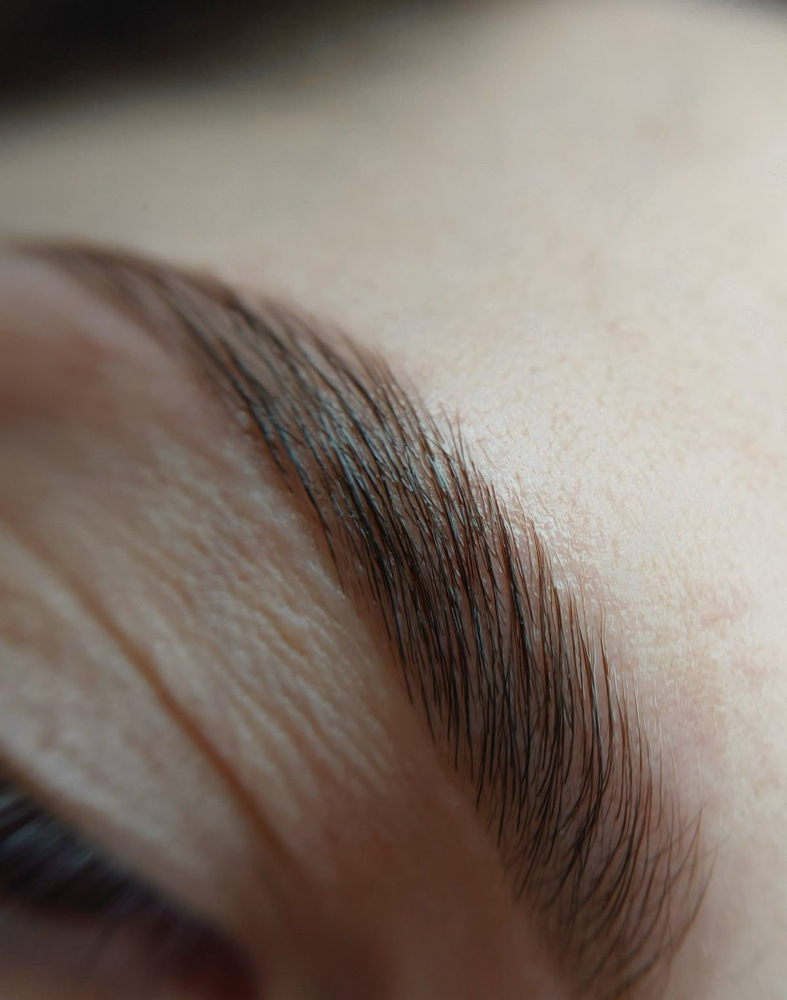 Brow Sculpt + Tint