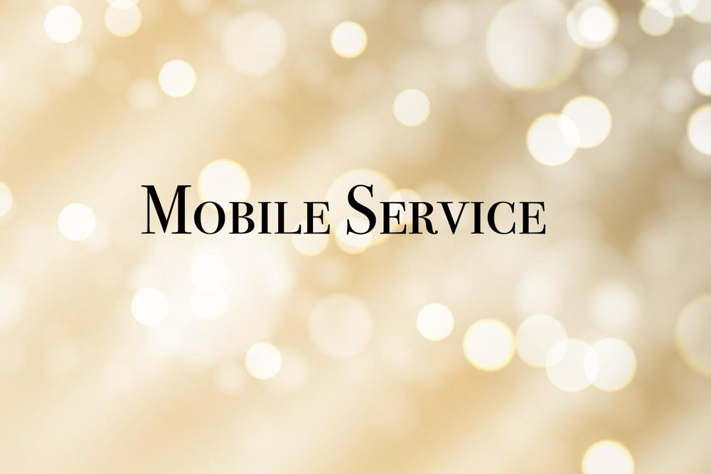 Mobile Service/House Calls at LavishLeeBeauty in Colorsdo Springs, CO