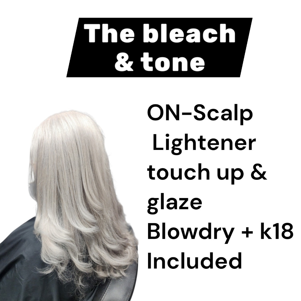 The Bleach & Tone at Revolution Hair in Brick, NJ