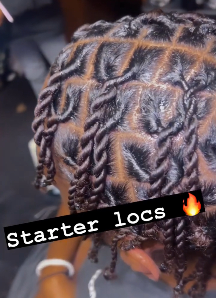 Starter Locs