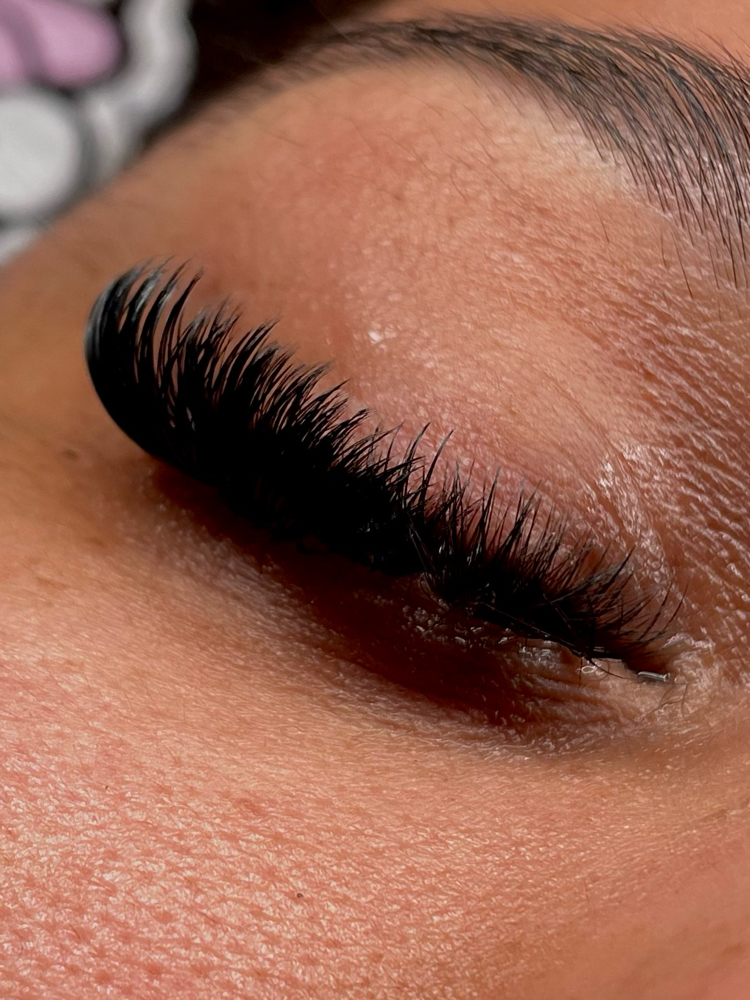 Volume Lashes