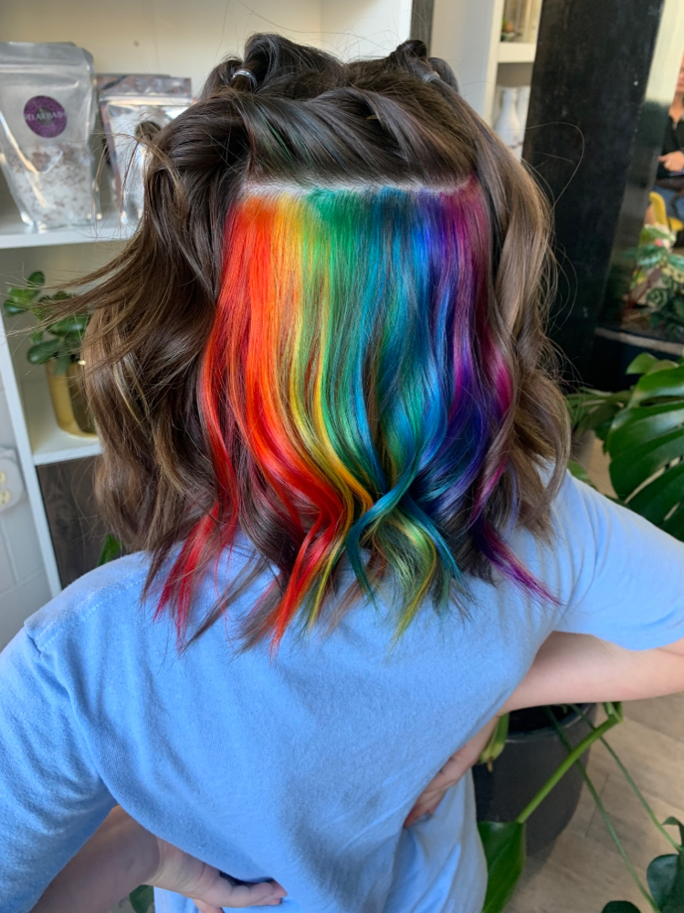 Vivids & Rainbow Hair Color