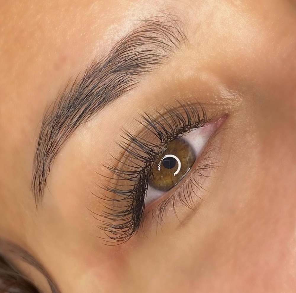 Classy Fill (2 Week)