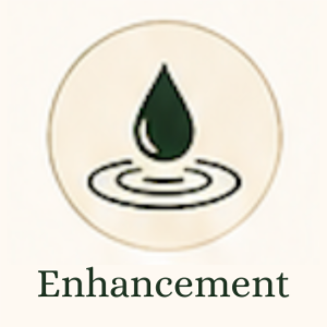 Body Hydration Boost Add-On at BB Salon & Spa in Lawrence, KS