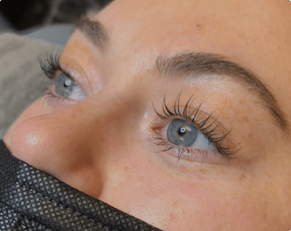 The Lash Bundle