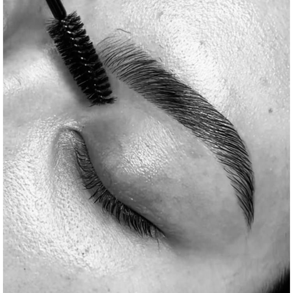 Hybrid Brow at Salon Gio + Esthetics in Marrero, LA