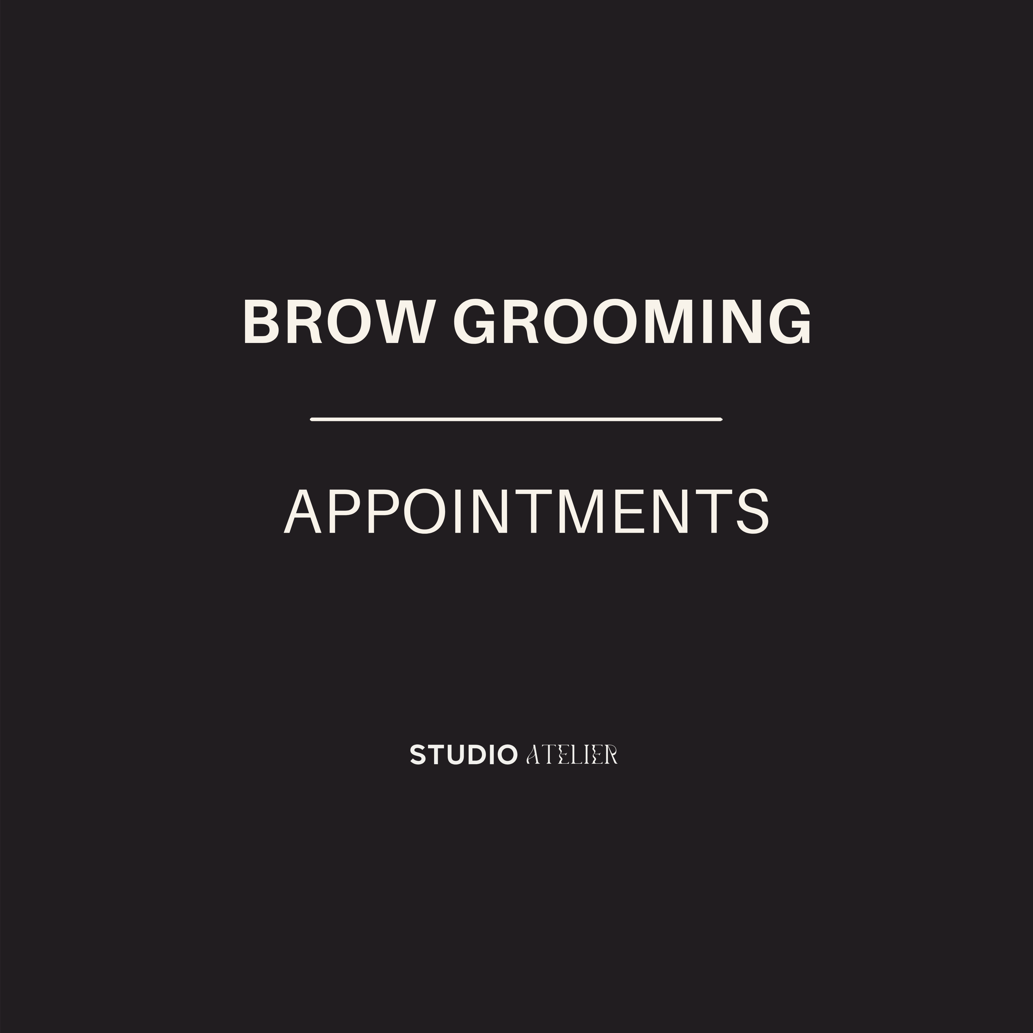 BROW GROOMING at Atelier in Richmond, VA