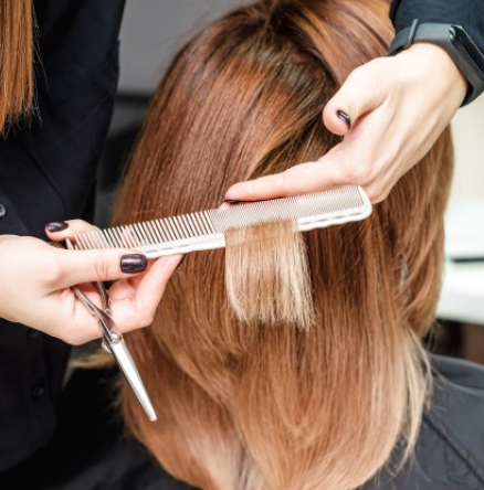 Women's French Haircut