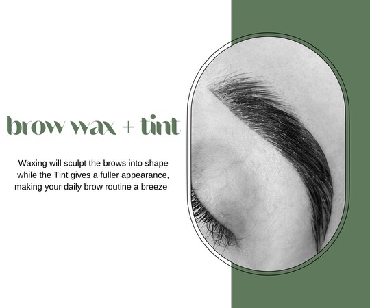 Brow Wax + Tint