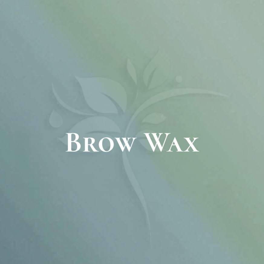 Brow Wax at Elysian Esthetics Spa in Loganville, GA