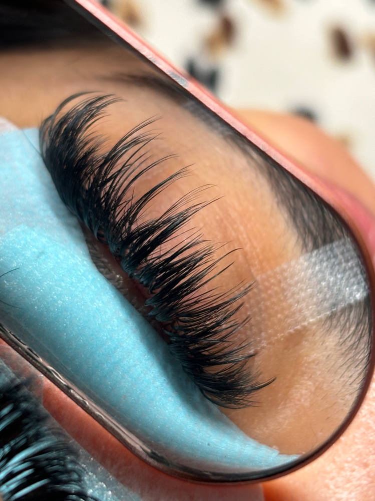 Vol Lashes