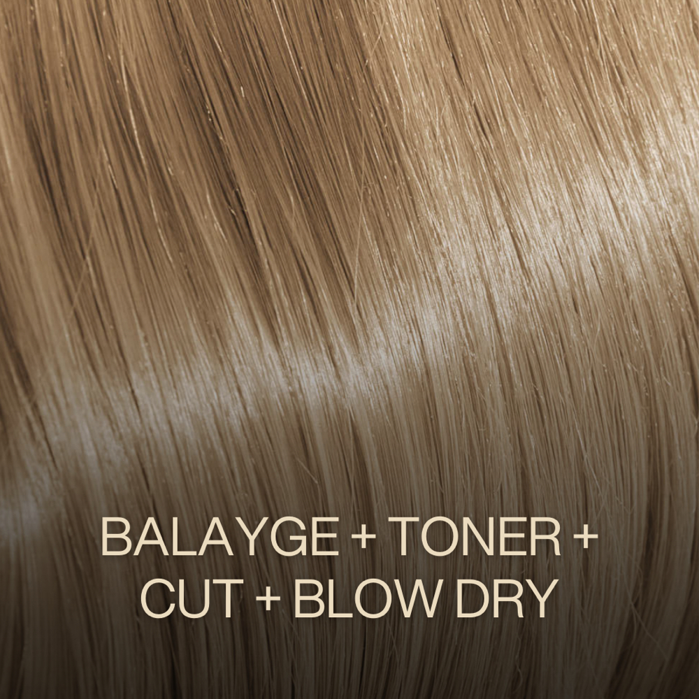 Balayge + Toner + Cut + Blow Dry at Zemra Salon in Westborough, MA